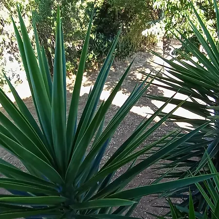 Nature House Lagos Do Sabor Torre De Moncorvo