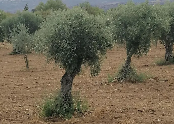 Nature House Lagos Do Sabor * Torre De Moncorvo