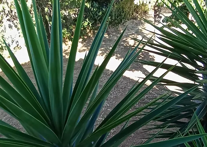 Nature House Lagos Do Sabor Torre De Moncorvo